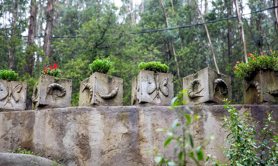 Искусство Элиаса Симе присутствует повсюду на территории Zoma Village Entoto.  Фото: Alice Hendy