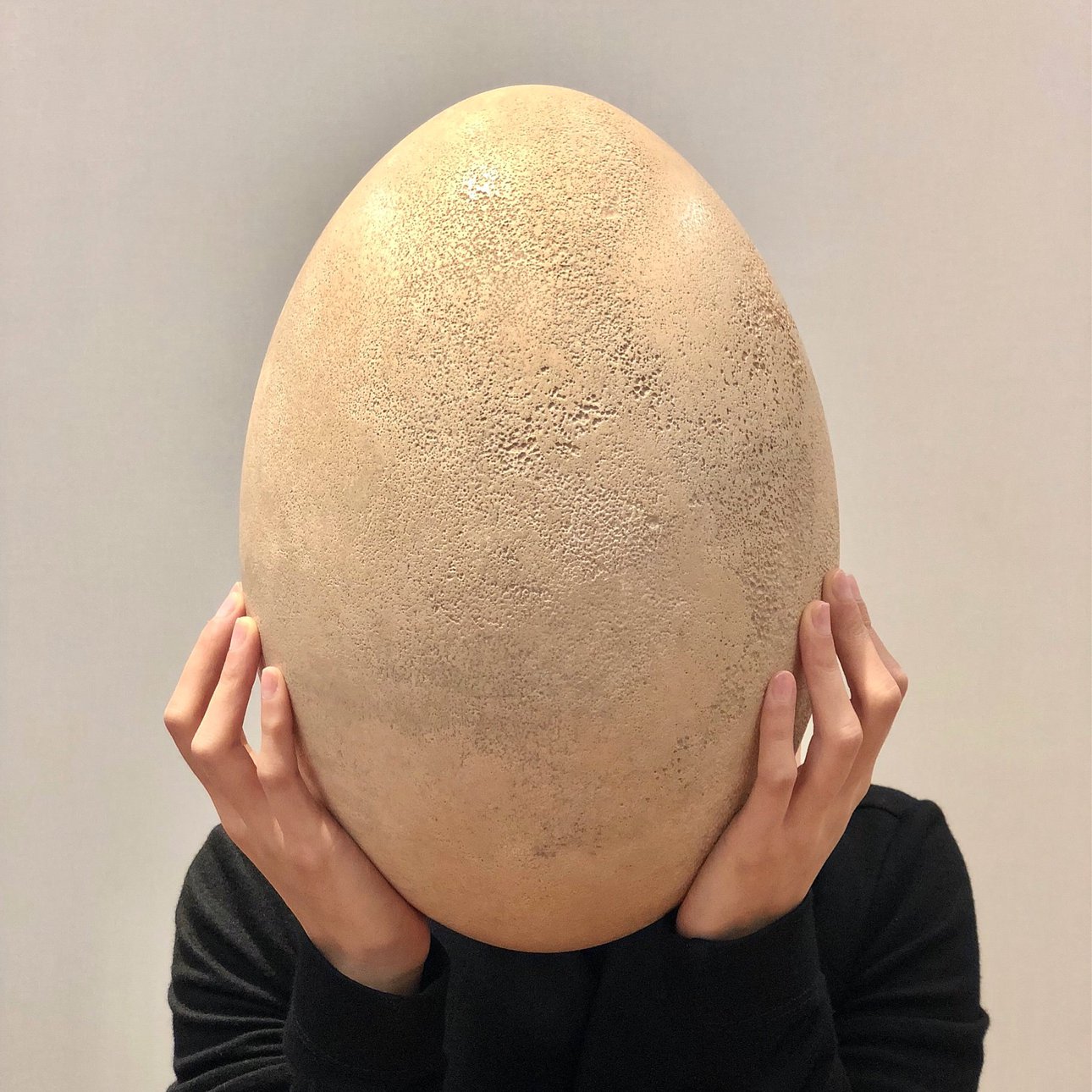 This egg. Эпиорнис мадагаскарский яйцо. Эпиорнис птица яйца. Самое большое куриное яйцо в мире. Размер яйца Эпиорниса.