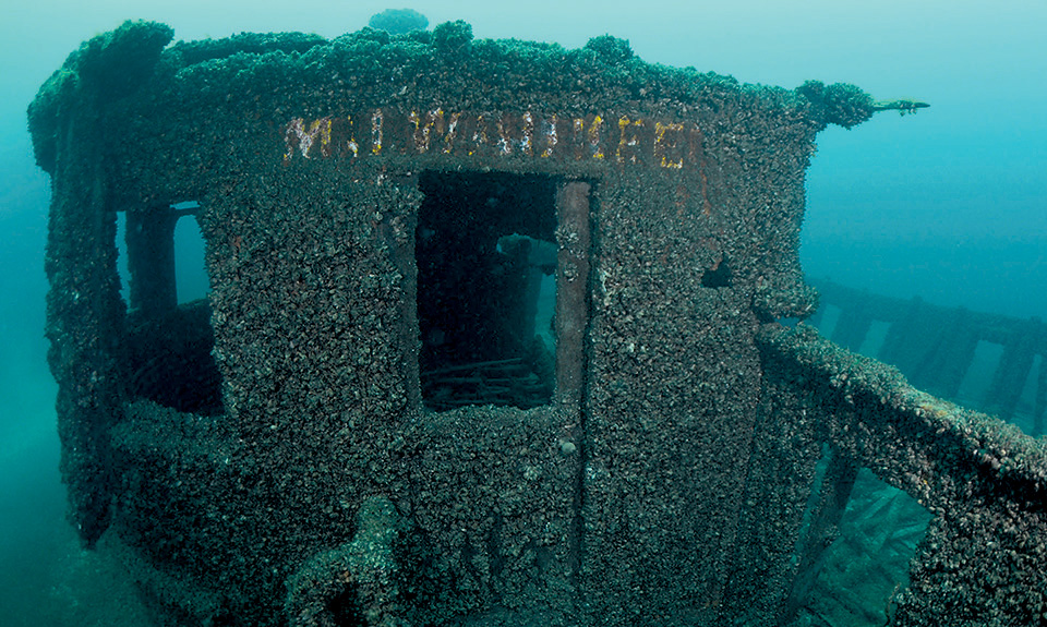 Дрейссена бугская, тихий ужас подводного мира